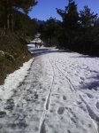 DSC00509.jpg