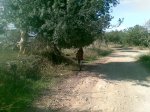 09112008.jpg