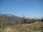 Foto 048.JPG