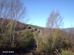 DSC00004.jpg