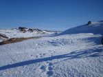 DSC00015.jpg