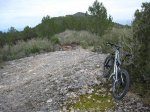 IMG_5186comp.jpg