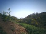 28-04-06_1151.jpg
