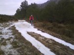 DSC00162.jpg