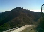 14022009(002)_576x432.jpg