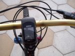 IMG_2157.JPG