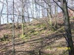 100_1525.jpg