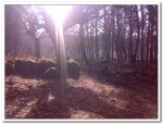 fotos_028.jpg