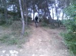 DSC00041.jpg