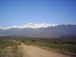 PICT0008.JPG