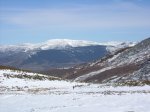 Image_044.jpg