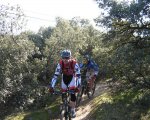 IMG_3397mini.jpg