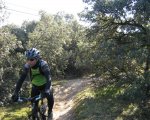 IMG_3410mini.jpg