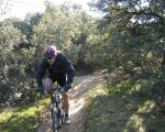 IMG_3412mini.jpg