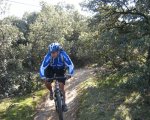 IMG_3413mini.jpg