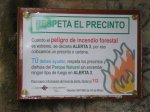 P1013390.jpg