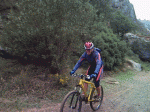 4.gif