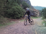 5.gif