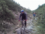 10.gif