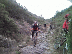 11.gif
