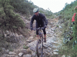 13.gif