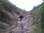 14.gif