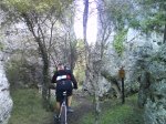 DSC00114.jpg