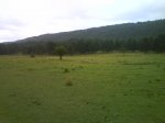DSC00153.jpg