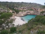 colonia-cala sÂ´almunia 017.jpg