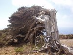 EL HIERRO EN MOUNTAIN BIKE 111.jpg
