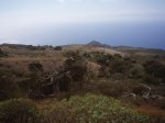 EL HIERRO EN MOUNTAIN BIKE 113.jpg