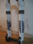 Fox talas 012.jpg