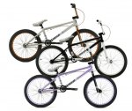 United-bici-Recruit.jpg