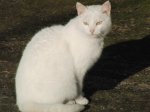 CIMG0365.jpg