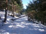Foto17.JPG