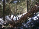 Foto29.JPG