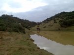 Imagen027.jpg