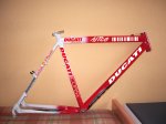 proyectoducati.jpg