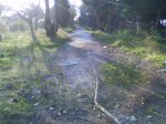 Imagen 021.jpg