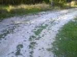 Imagen 027.jpg