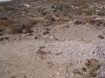 PA120059.jpg