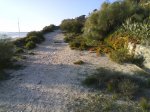 Imagen 040.jpg