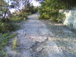 Imagen 047.jpg