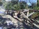 DSC00655.jpg
