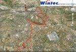 elche.jpg