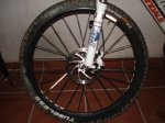 DSC02398.jpg