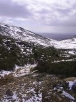 PIC_0027.JPG
