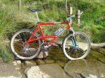 alpinestarscrm.jpg