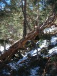 DSC06883.JPG