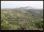 Olvera desde el camino 2.jpg
